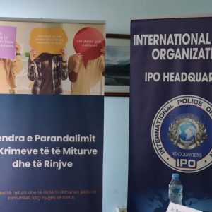 interpolice_cyber_04